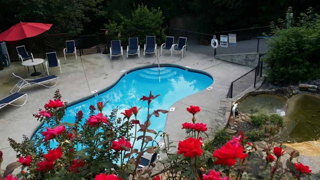 Cozy Nest Gatlinburg Cabin With Porch And Jacuzzi! 빌라 외부 사진